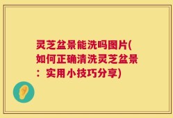 灵芝盆景能洗吗图片(如何正确清洗灵芝盆景：实用小技巧分享)
