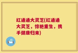 红通通大灵芝(红通通大灵芝，惊艳重生，携手健康归来)