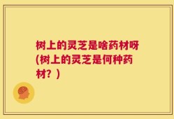 树上的灵芝是啥药材呀(树上的灵芝是何种药材？)