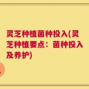 灵芝种植菌种投入(灵芝种植要点：菌种投入及养护)
