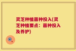 灵芝种植菌种投入(灵芝种植要点：菌种投入及养护)