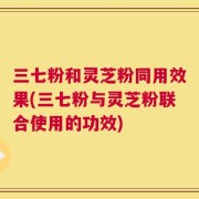 三七粉和灵芝粉同用效果(三七粉与灵芝粉联合使用的功效)