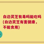 白边灵芝有毒吗能吃吗(白边灵芝有害健康，不能食用)