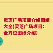 灵芝广场项目介绍图纸大全(灵芝广场项目：全方位图纸介绍)