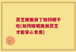 灵芝被雨淋了如何晒干吃(如何晾晒雨淋灵芝才能安心食用)