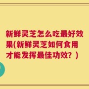 新鲜灵芝怎么吃最好效果(新鲜灵芝如何食用才能发挥最佳功效？)