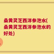 桑黄灵芝西洋参泡水(桑黄灵芝西洋参泡水的好处)