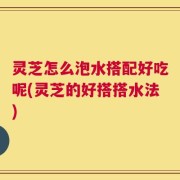 灵芝怎么泡水搭配好吃呢(灵芝的好搭搭水法)