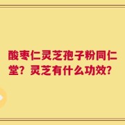 酸枣仁灵芝孢子粉同仁堂？灵芝有什么功效？