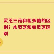 灵芝三菇和粗多糖的区别？木灵芝和赤灵芝区别