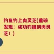 钓鱼钓上肉灵芝(重磅发现：成功钓捕到肉灵芝！)