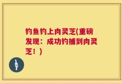 钓鱼钓上肉灵芝(重磅发现：成功钓捕到肉灵芝！)