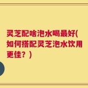 灵芝配啥泡水喝最好(如何搭配灵芝泡水饮用更佳？)