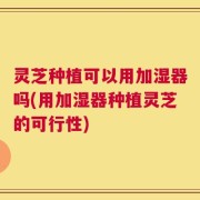 灵芝种植可以用加湿器吗(用加湿器种植灵芝的可行性)