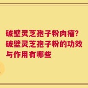 破壁灵芝孢子粉肉瘤？破壁灵芝孢子粉的功效与作用有哪些