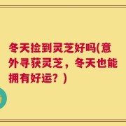 冬天捡到灵芝好吗(意外寻获灵芝，冬天也能拥有好运？)