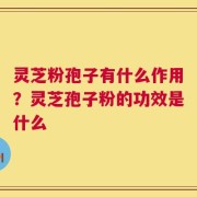 灵芝粉孢子有什么作用？灵芝孢子粉的功效是什么