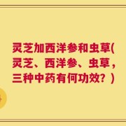 灵芝加西洋参和虫草(灵芝、西洋参、虫草，三种中药有何功效？)