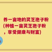 养一亩地的灵芝孢子粉(种植一亩灵芝孢子粉，享受健康与财富)