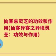仙客来灵芝的功效和作用(仙客异客之异境灵芝：功效与作用)