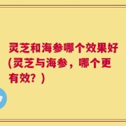 灵芝和海参哪个效果好(灵芝与海参，哪个更有效？)