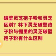 破壁灵芝孢子粉和灵芝区别？林下灵芝破壁孢子粉与棚里的灵芝破壁孢子粉有什么区别