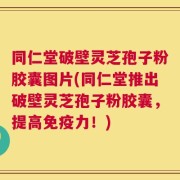 同仁堂破壁灵芝孢子粉胶囊图片(同仁堂推出破壁灵芝孢子粉胶囊，提高免疫力！)