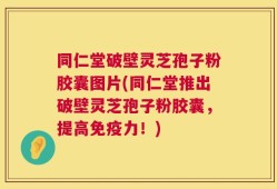 同仁堂破壁灵芝孢子粉胶囊图片(同仁堂推出破壁灵芝孢子粉胶囊，提高免疫力！)