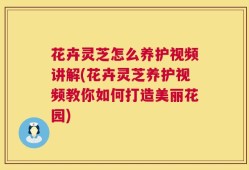 花卉灵芝怎么养护视频讲解(花卉灵芝养护视频教你如何打造美丽花园)