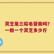 灵芝是三萜皂苷类吗？一般一个灵芝多少斤