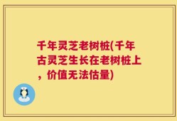千年灵芝老树桩(千年古灵芝生长在老树桩上，价值无法估量)