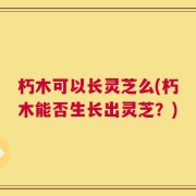 朽木可以长灵芝么(朽木能否生长出灵芝？)