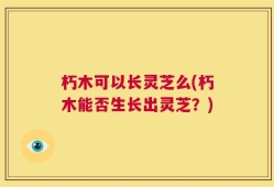 朽木可以长灵芝么(朽木能否生长出灵芝？)