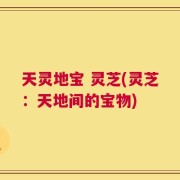 天灵地宝 灵芝(灵芝：天地间的宝物)