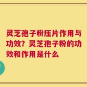 灵芝孢子粉压片作用与功效？灵芝孢子粉的功效和作用是什么