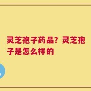 灵芝孢子药品？灵芝孢子是怎么样的