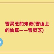 雪灵芝的来源(雪山上的仙草——雪灵芝)