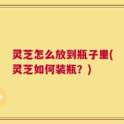 灵芝怎么放到瓶子里(灵芝如何装瓶？)