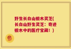野生长白山椴木灵芝(长白山野生灵芝：奇迹椴木中的医疗宝藏！)