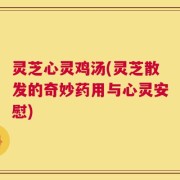 灵芝心灵鸡汤(灵芝散发的奇妙药用与心灵安慰)