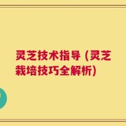 灵芝技术指导 (灵芝栽培技巧全解析)