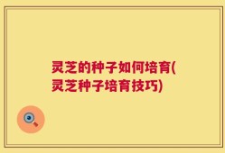 灵芝的种子如何培育(灵芝种子培育技巧)