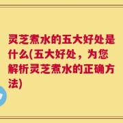 灵芝煮水的五大好处是什么(五大好处，为您解析灵芝煮水的正确方法)