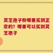 灵芝孢子粉哪里买到正宗的？哪里可以买到灵芝孢子