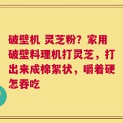 破壁机 灵芝粉？家用破壁料理机打灵芝，打出来成棉絮状，嚼着硬怎吞吃