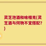 灵芝泡酒和啥相克(灵芝酒与何物不宜搭配？)