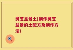 灵芝盆景土(制作灵芝盆景的土配方及制作方法)