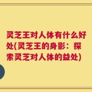 灵芝王对人体有什么好处(灵芝王的身影：探索灵芝对人体的益处)