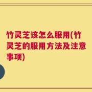 竹灵芝该怎么服用(竹灵芝的服用方法及注意事项)