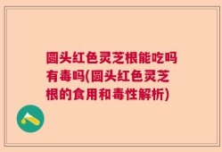 圆头红色灵芝根能吃吗有毒吗(圆头红色灵芝根的食用和毒性解析)